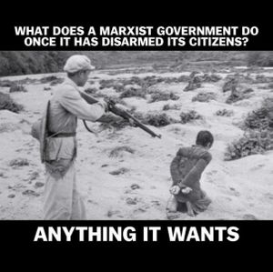 what does the goverment do